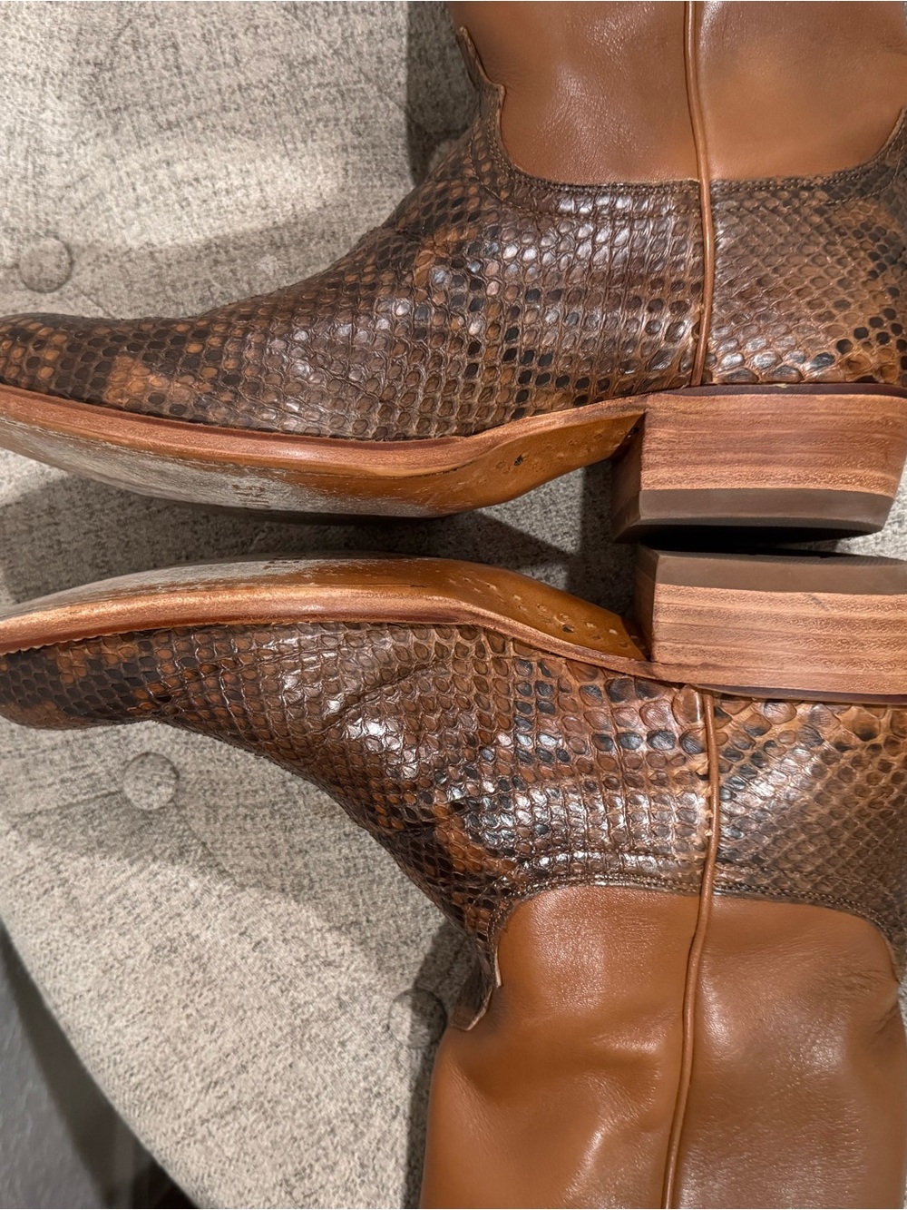 Tecovas Billy Python Boot - Picture 5 of 5